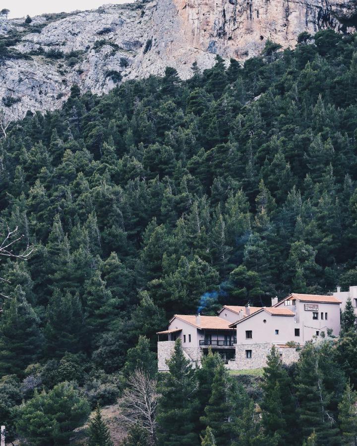 Guesthouse Vasiliki Steni Dhirfios Luaran gambar